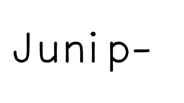 Juniper手写体动画在各种免提字体和重量中的应用 — 图库视频影像