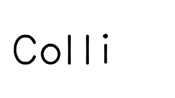 Colline Handskriven Text Animation Olika Sans Serif Teckensnitt Och Vikter — Stockvideo