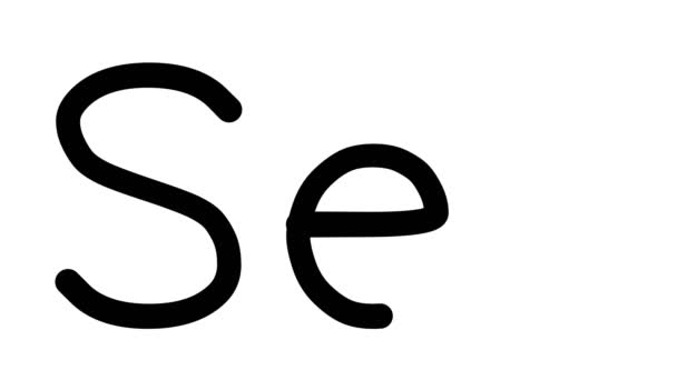 Sex Handwritten Text Animation Various Sans Serif Fonts Weights — 비디오