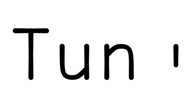 Tuna Handwritten Text Animation Various Sans Serif Fonts Weights — Stock Video