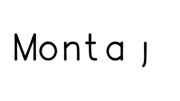 Montaje Animación Texto Manuscrita Varias Fuentes Pesos Sans Serif — Vídeos de Stock