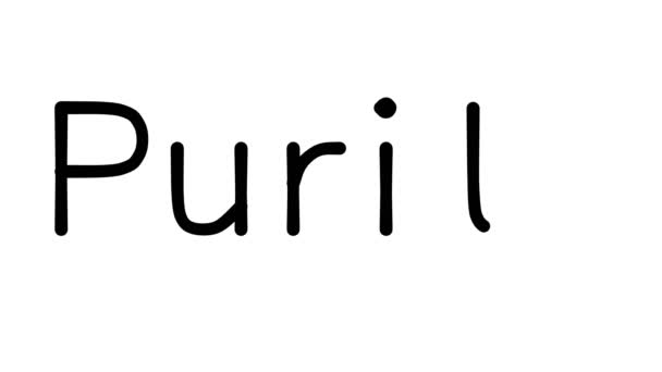 Purity Handwritten Text Animation Various Sans Serif Fonts Weights — Stock Video