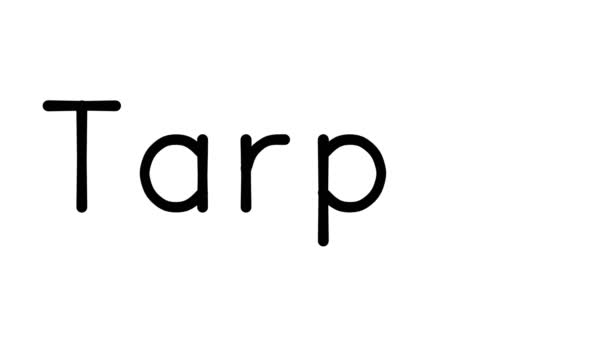 Χειρόγραφο Κείμενο Animation Διάφορες Γραμματοσειρές Sans Serif Και Βάρη — Αρχείο Βίντεο
