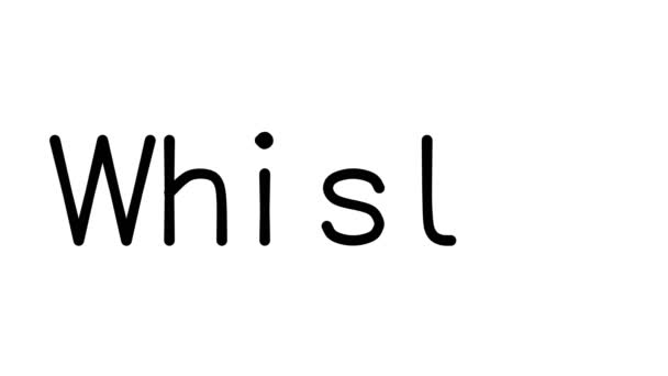 텍스트 애니메이션 Various Sans Serif Fonts Weights — 비디오