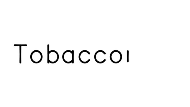 Tobacconist Handwritten Text Animation Various Sans Serif Fonts Weights — Stock Video
