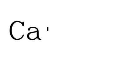 Serif Yazı Tipi ve Ağırlığı ile Kanarya Canlandırılmış El Yazısı Metni