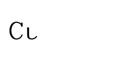 Serif Yazı Tipi ve Ağırlığı ile Kıvrımlı El Yazısı Metni