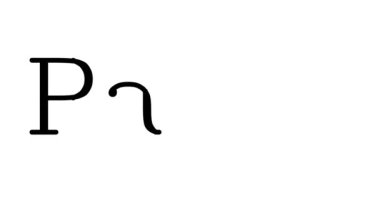 Serif Yazı Tipleri ve Ağırlıklarıyla Patty Animasyon Metni