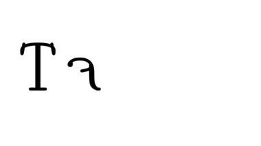 Taipei Animasyon El Yazısı Metni Serif Yazı Tipleri ve Ağırlıkları