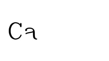 Kanada Serif Yazı Tipleri ve Ağırlığı ile El Yazısını Canlandır