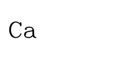 Serif Yazı Tipi ve Ağırlığı ile Calgary Canlandırılmış El Yazısı Metni