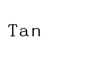 Serif Yazı Tipleri ve Ağırlığı ile Tantalum Canlandırılmış El Yazısı Metni