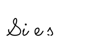 Siesta Dekoratif El Yazısı Animasyonu Altı El yazısı ve Gotik Yazı Tipi