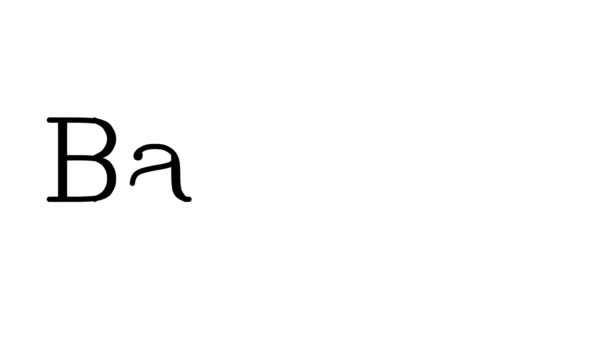 Bagaż Animowany Tekst Pisma Ręcznego Czcionkach Wagach Serif — Wideo stockowe
