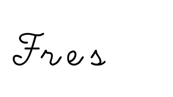 六种草书和哥特式字体中的弗雷斯科装饰手写体动画 — 图库视频影像