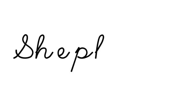 Shepherd Decorative Handwriting Animation Six Cursive Gothic Fonts — Stock Video