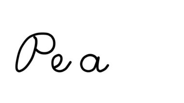 Şeftali Dekoratif El Yazısı Animasyonu Altı El yazısı ve Gotik Yazı Tipi