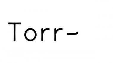 Çeşitli Sans-Serif Yazı Tipleri ve Ağırlıkları ile Torrent El Yazısı Metni Canlandırması