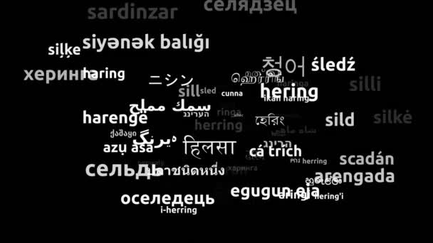 用64种世界语言翻译鲱鱼无限循环3D缩放Wordcloud掩蔽 — 图库视频影像
