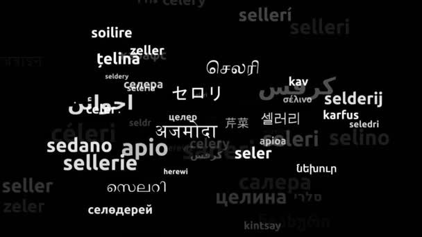 Sedano Tradotto Lingue Tutto Mondo Looping Infinito Maschera Wordcloud Zoom — Video Stock