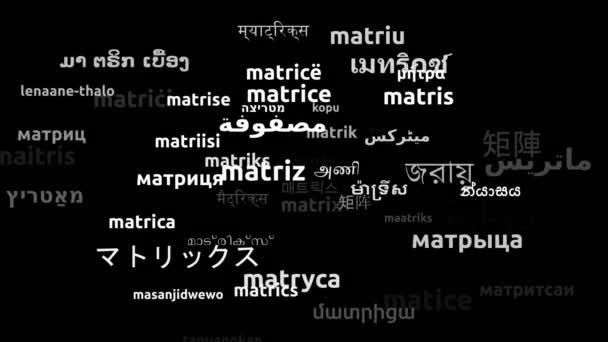 Matrix Translated Worldwide Languages Endless Looping Zooming Wordcloud Mask — Stock Video