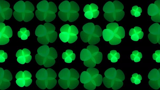 Array Grid of Slowly Rotating Four Leafed Leaf Clovers — Stock Video