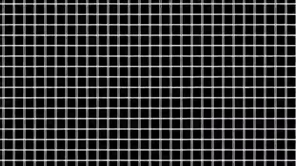 Two Mask Grids Overlaid Caging Shifting Offset — Vídeo de stock