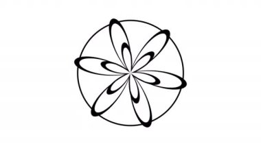 Üst üste Çiçek Yaprakları Karşıt Yön Değiştiriyor