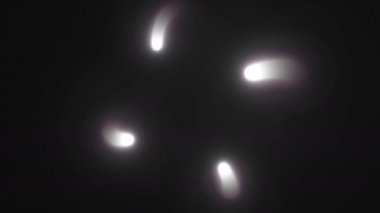 Dört Işık İpliği Genişleme ve Merkeze Küçülme Çerçevesi