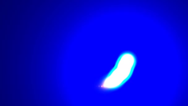 Blaue heiße helle Neon-Lichtform Krabbeltier — Stockvideo