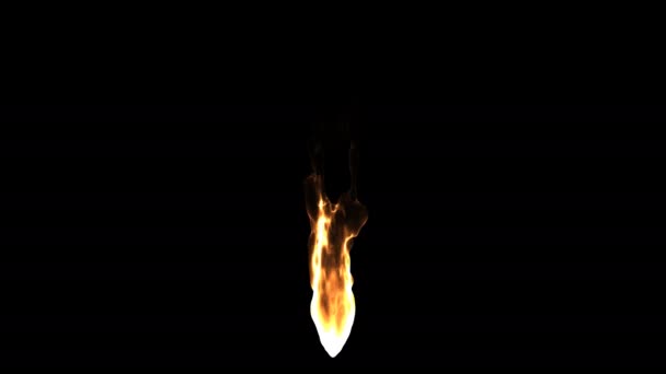 Single Burning Flickering Candle Torch Flame Fire Flicker — Stockvideo