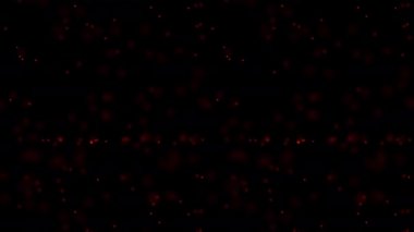 Small Tiny Dust Mites Falling Dusty Noise Mixed Focus