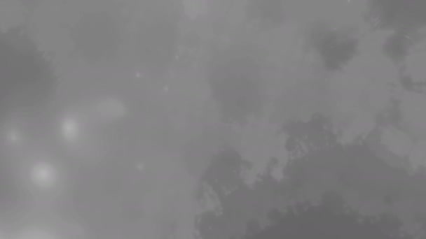 Grey Dusty Dust Background Abstract Lunar Mist — Wideo stockowe