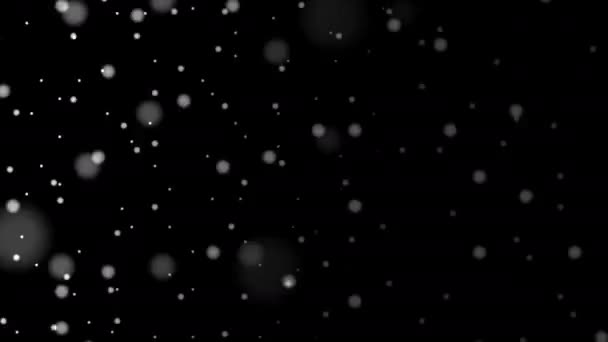 Deep Thick Dense Storm Blizzard Snowstorm Mask Visibility Stormy Intense Matte — Stock video