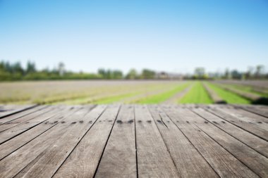 kırsal manzara önünde ahşap zemin