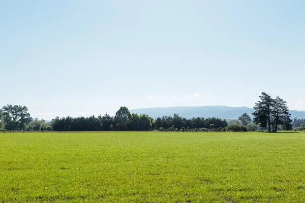 Hermoso paisaje de campo —  Fotos de Stock