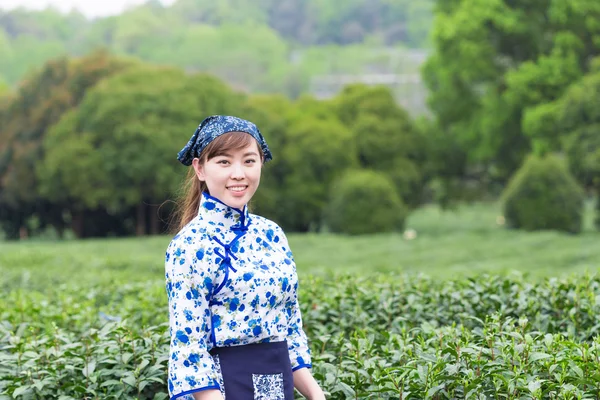 Asiatico ragazza raccolta tè foglia — Foto Stock