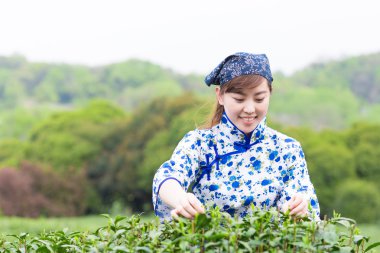 Asyalı kız malzeme çekme Çay yaprağı 