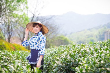 Asyalı kız malzeme çekme Çay yaprağı 
