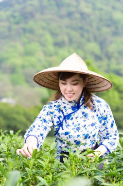 Asyalı kız malzeme çekme Çay yaprağı 