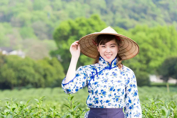 asian girl picking tea leaf