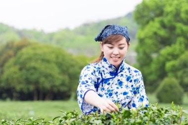 Asyalı kız malzeme çekme Çay yaprağı 