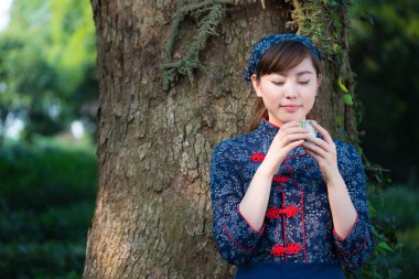 Asyalı kız fincan çay plantasyon içinde tutar.