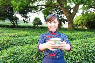 Asyalı kız fincan çay plantasyon içinde tutar.