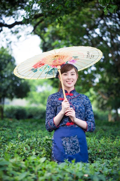 Asiática chica sostiene paraguas en té plantación — Foto de Stock