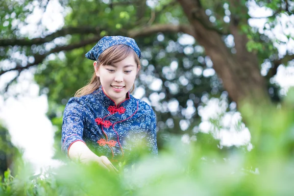 Aziatisch meisje werkt in de thee plantage — Stockfoto