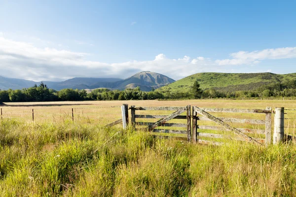 Pastviny v létě slunečný den na Novém Zélandu — Stock fotografie