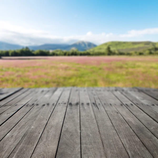 Houten vloer met grasland in Nieuw-Zeeland — Stockfoto