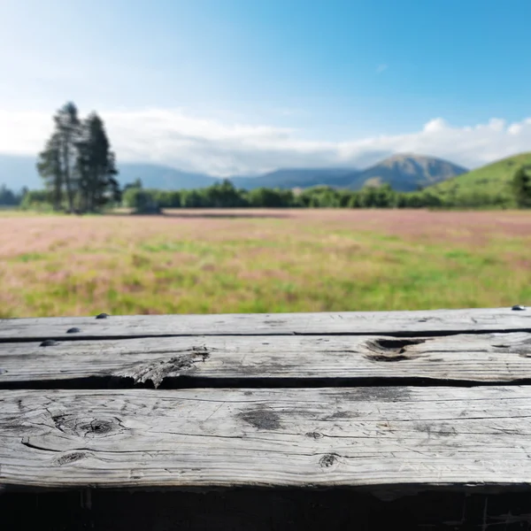 Pavimento in legno con pascolo in Nuova Zelanda — Foto Stock