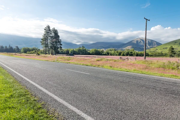 Асфальтовая дорога рядом с пастбищем в Новой Зеландии — стоковое фото